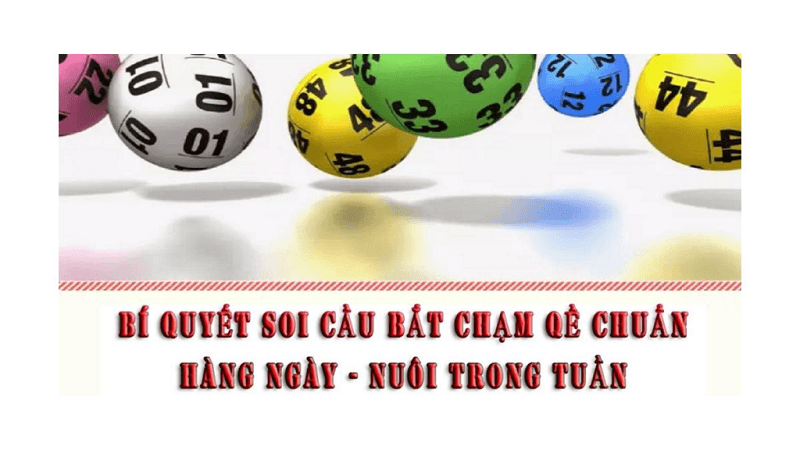 Bắt đề chạm dựa vào tổng đề và nuôi theo tuần