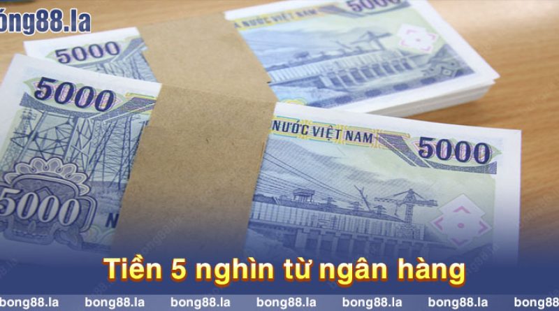 Mơ thấy tiền 5 nghìn đánh con gì trúng bộn tiền?