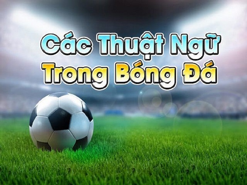 Chi tiết các thuật ngữ cá cược bóng đá mà người chơi nên biết khi chơi cá cược tại KU Casino