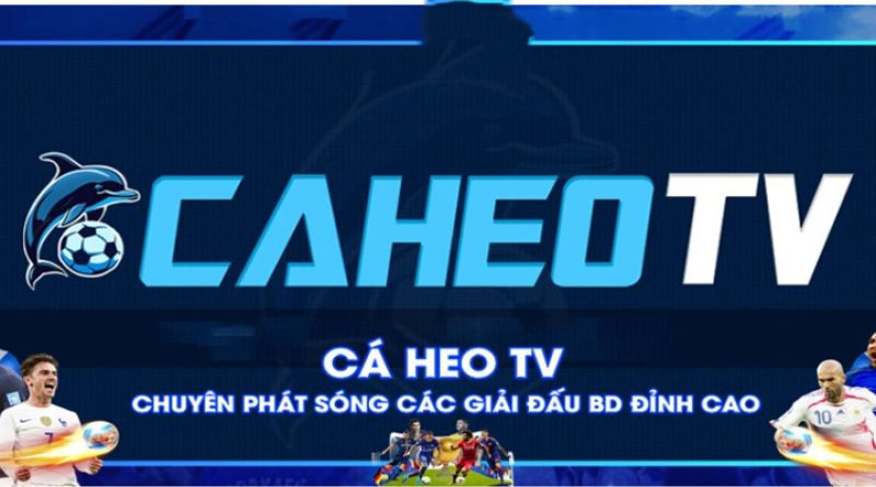 Yếu tố tạo nên sự thành công của Caheo TV caheolive.net