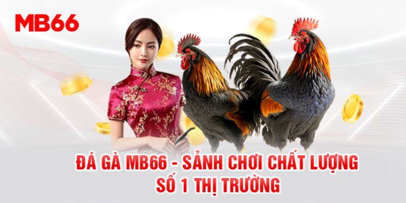 2 đối tác kinh doanh của sảnh đá gà MB66