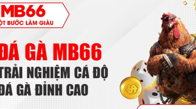 Đá gà MB66 – Giải trí đấu trường Thomo cực chất ngay tại nhà