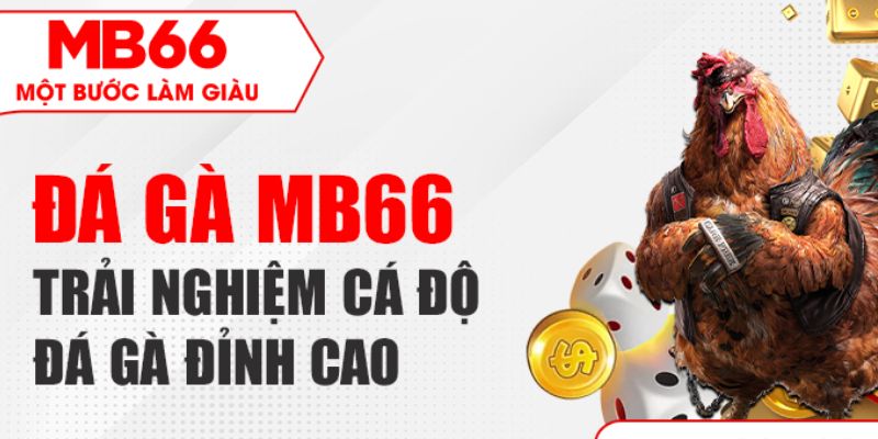 Hai hình thức đá gà nên chơi tại MB66