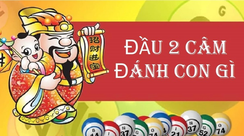 Lô câm đầu 2 xuất hiện nên đánh con gì dễ trúng lớn?