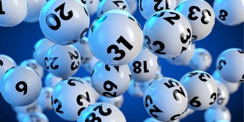 Lô 3 Càng Tại F168 Hôm Nay: Nên Đánh Con Nào?
