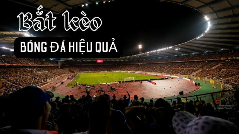  Chọn kèo bóng đá đúng giải, đúng thời điểm 