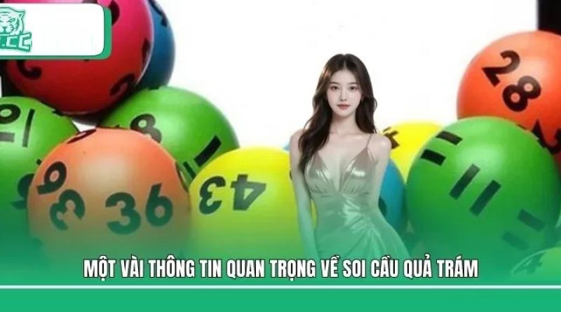 Hướng dẫn sử dụng công cụ soi cầu quả trám tại K8cc