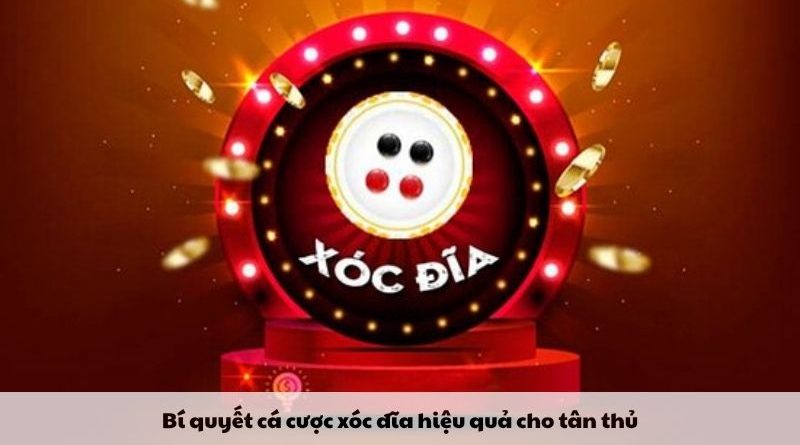 Game xóc đĩa –  Loại hình cá cược xanh chín phổ biến trên thị trường