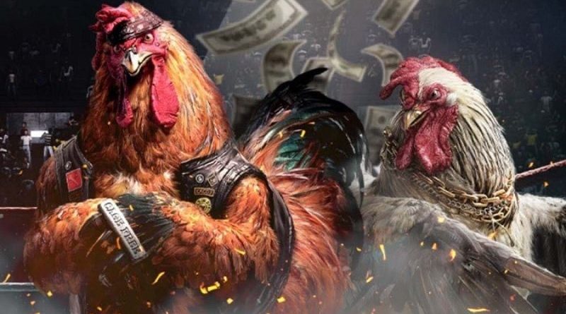 Đá gà cựa sắt Bin88 – Sảnh chơi thú vị với các chiến kê